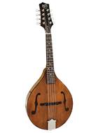 Barnes & Mullins BM600E Wimborne Electro Acoustic Mandolin